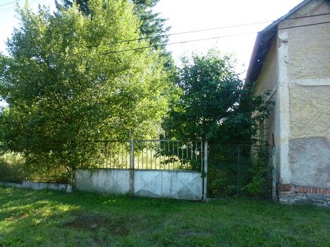 Foto 45